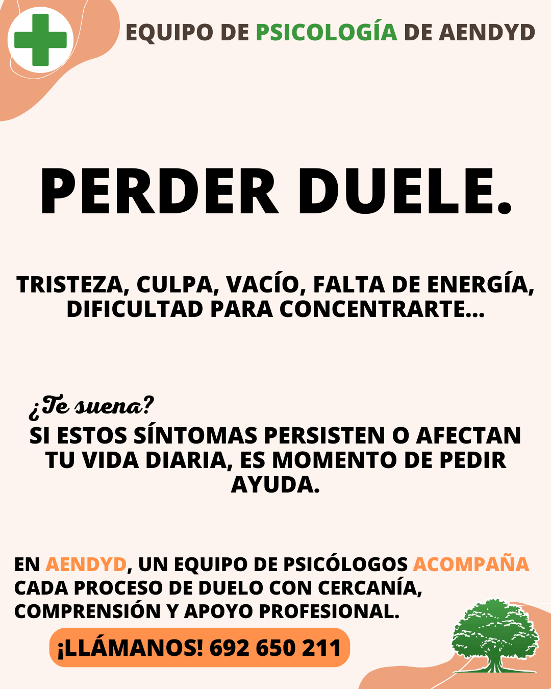AENDYD Psicologia Duelo AENDYD Psicologia Duelo